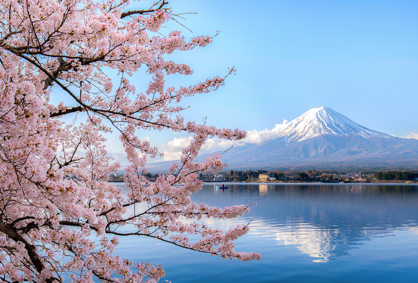 Scenic view of Mount Fuji and blossoms